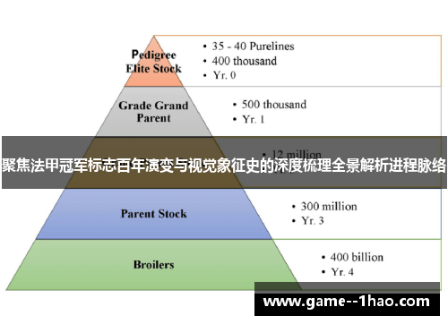 聚焦法甲冠军标志百年演变与视觉象征史的深度梳理全景解析进程脉络