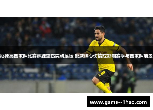 厄德高国家队比赛脚踝重伤震动足坛 挪威核心伤情或影响赛季与国家队前景
